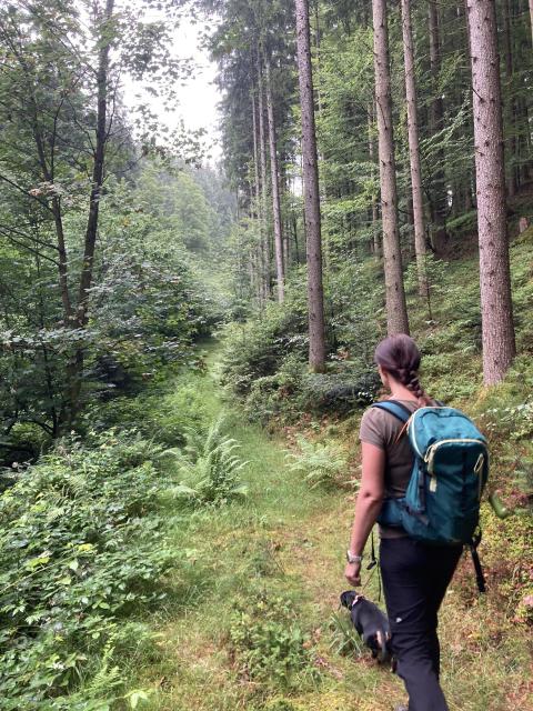 Unterwegs im Wald